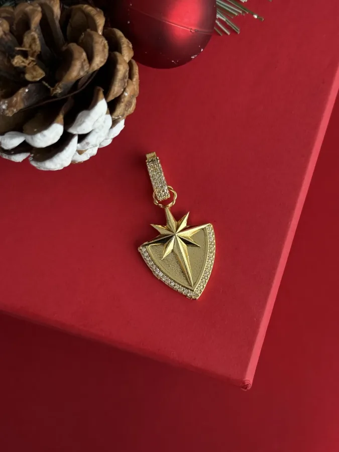 NS-Kuzey Yıldızı Madalyon Gold Charm Uç